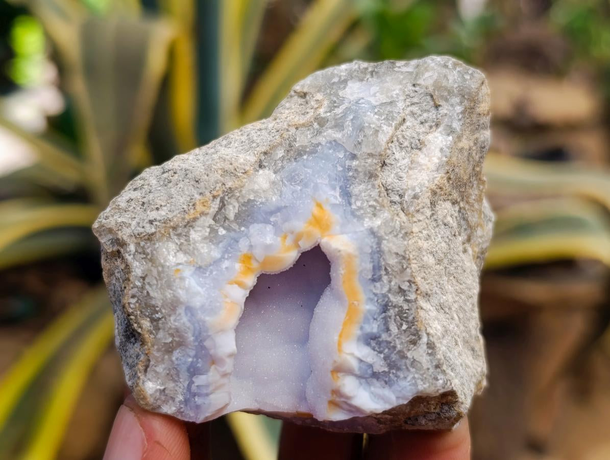 Natural Blue Lace Agate Geode Specimens x 12 From Nsanje, Malawi