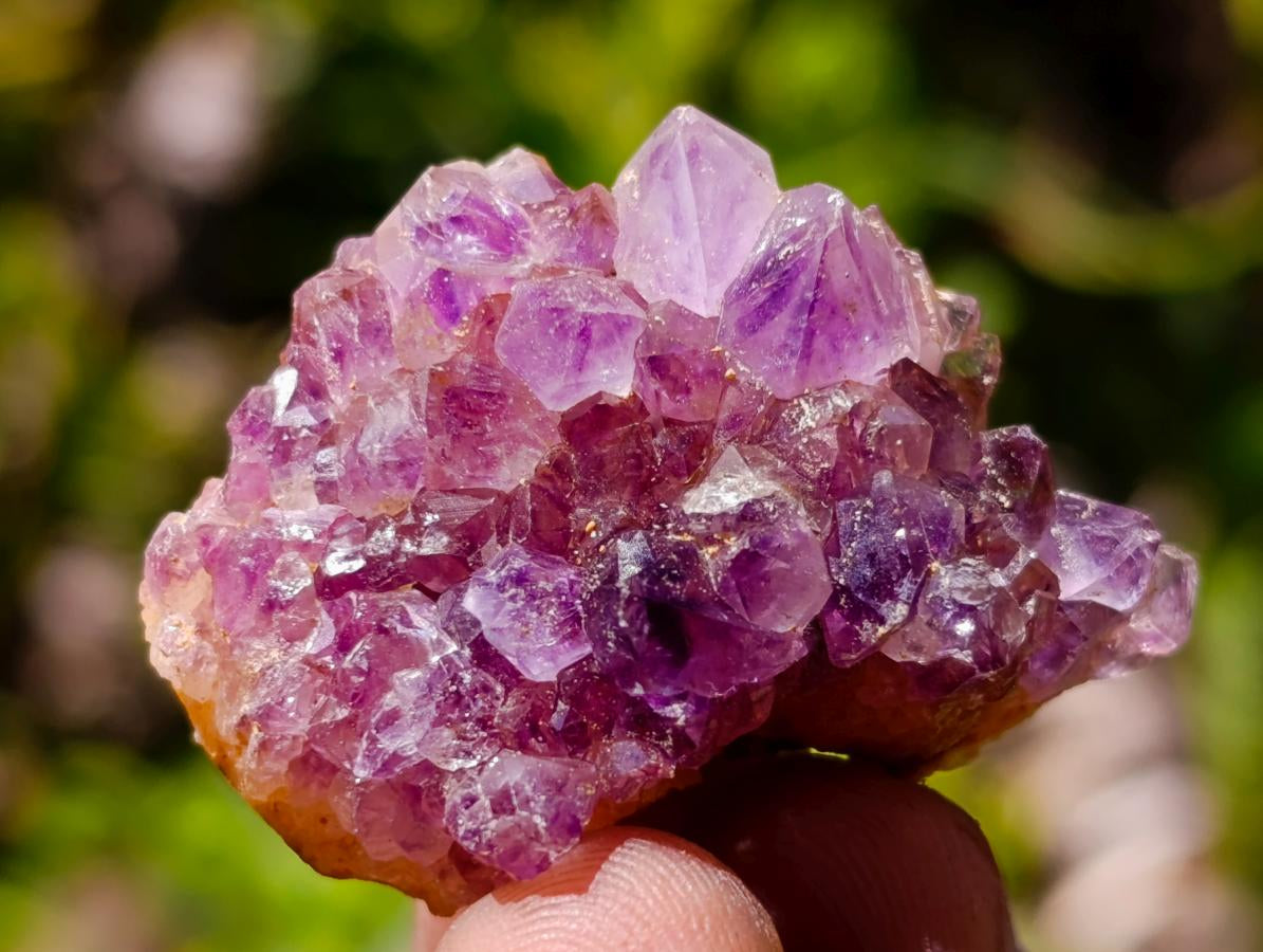 Natural Dark Purple Amethyst Quartz Crystal Plates x 70 From Boekenhouthoek, South Africa