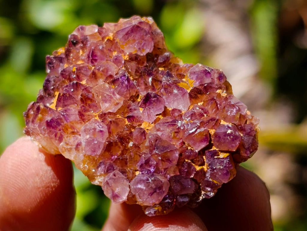 Natural Dark Purple Amethyst Quartz Crystal Plates x 70 From Boekenhouthoek, South Africa - Toprock Gemstones and Minerals 