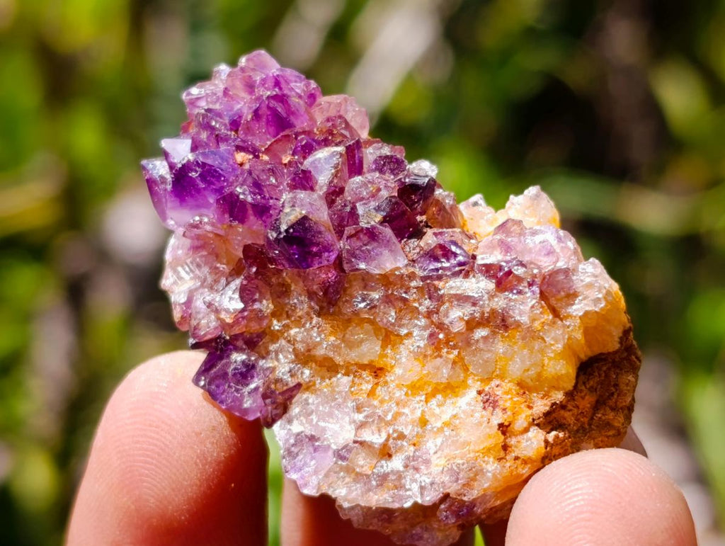 Natural Dark Purple Amethyst Quartz Crystal Plates x 70 From Boekenhouthoek, South Africa - Toprock Gemstones and Minerals 