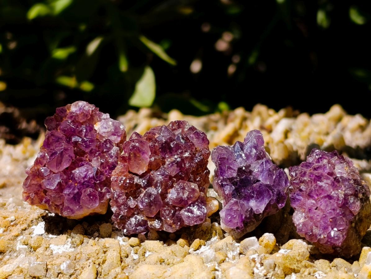 Natural Dark Purple Amethyst Quartz Crystal Plates x 70 From Boekenhouthoek, South Africa - Toprock Gemstones and Minerals 