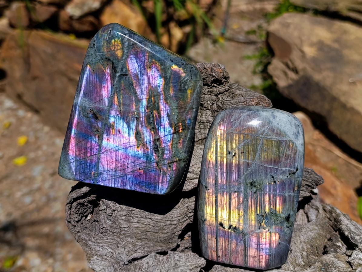 Polished Rare Purple Sunset Flash Labradorite Standing Free Forms x 2 From Madagascar - Toprock Gemstones and Minerals 
