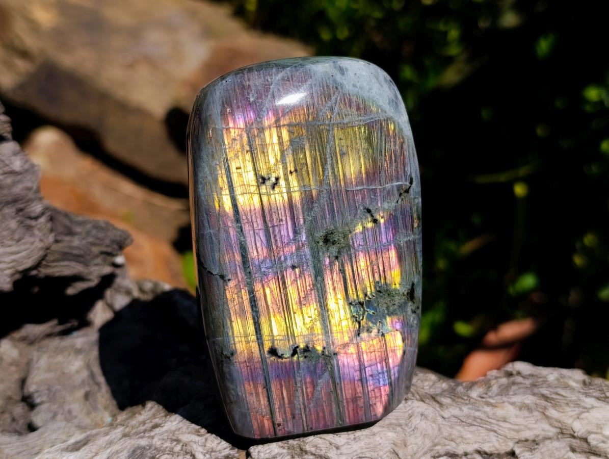 Polished Rare Purple Sunset Flash Labradorite Standing Free Forms x 2 From Madagascar - Toprock Gemstones and Minerals 