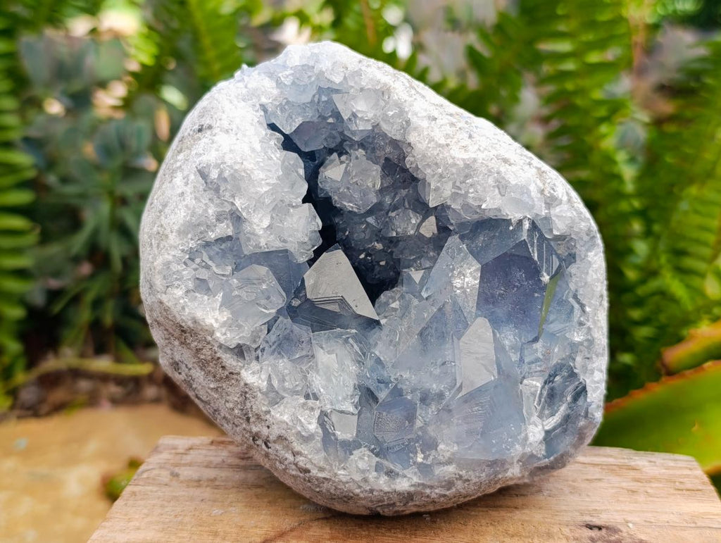 Natural Large Blue Celestite Geode Specimen x 1 From Sakoany, Madagascar