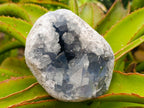 Natural Large Blue Celestite Geode Specimen x 1 From Sakoany, Madagascar
