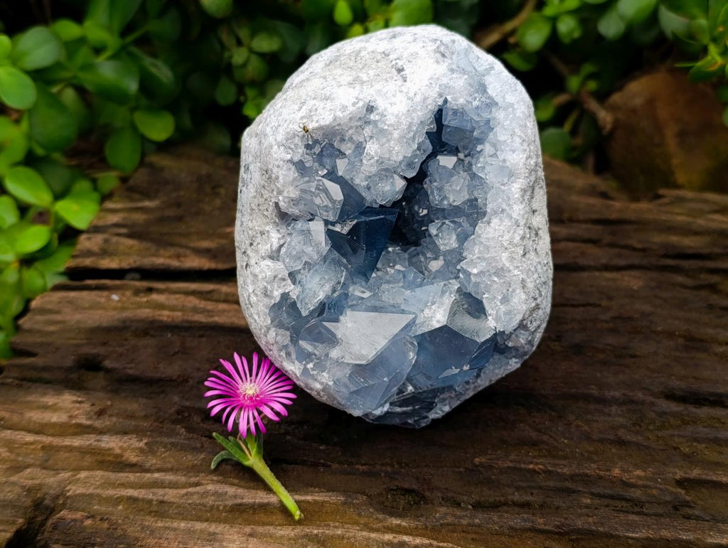 Natural Large Blue Celestite Geode Specimen x 1 From Sakoany, Madagascar