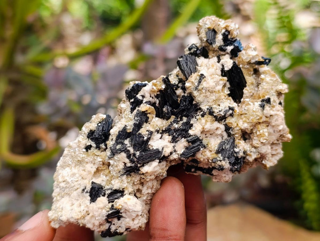 Natural Schorl Black Tourmaline Specimens with Inclusions x 6 From Erongo, Namibia