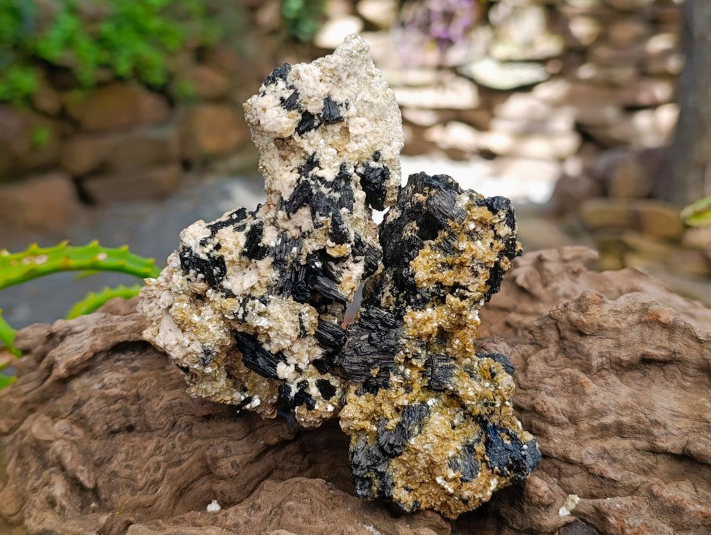 Natural Schorl Black Tourmaline Specimens with Inclusions x 6 From Erongo, Namibia