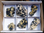 Natural Schorl Black Tourmaline Specimens with Inclusions x 6 From Erongo, Namibia