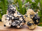 Natural Schorl Black Tourmaline Specimens with Inclusions x 6 From Erongo, Namibia