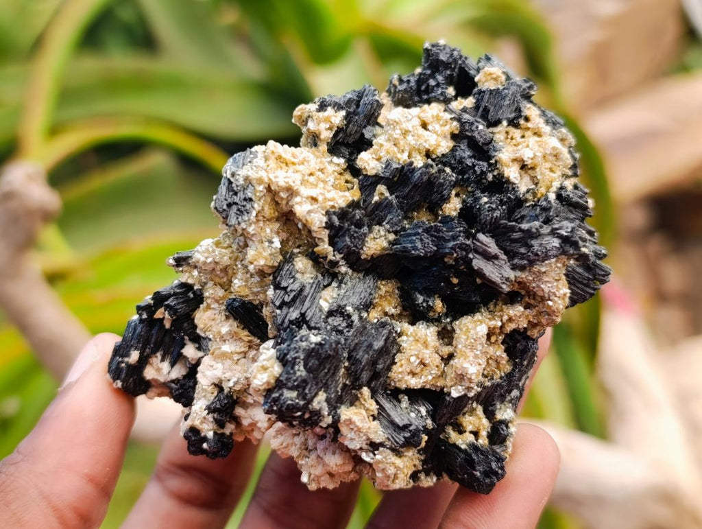 Natural Schorl Black Tourmaline Specimens with Inclusions x 6 From Erongo, Namibia