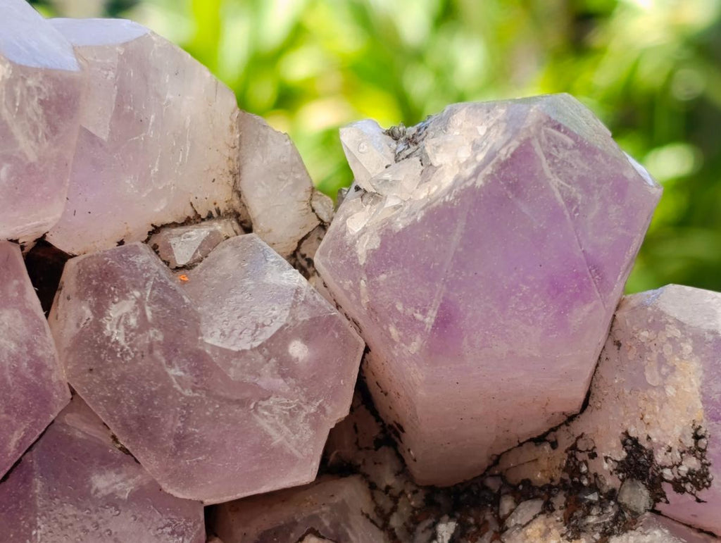Natural Large Jacaranda Amethyst Crystal Cluster x 1 From Mumbwa, Zambia
