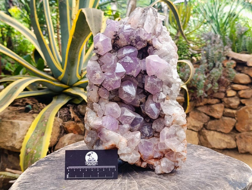 Natural Large Jacaranda Amethyst Crystal Cluster x 1 From Mumbwa, Zambia