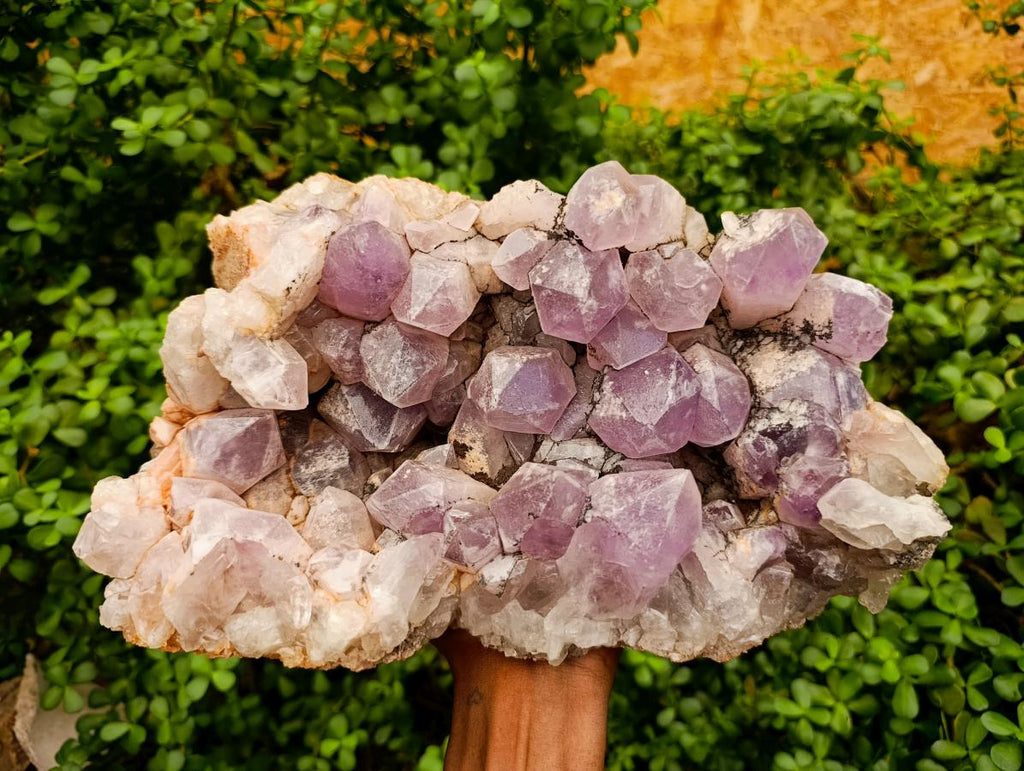 Natural Large Jacaranda Amethyst Crystal Cluster x 1 From Mumbwa, Zambia