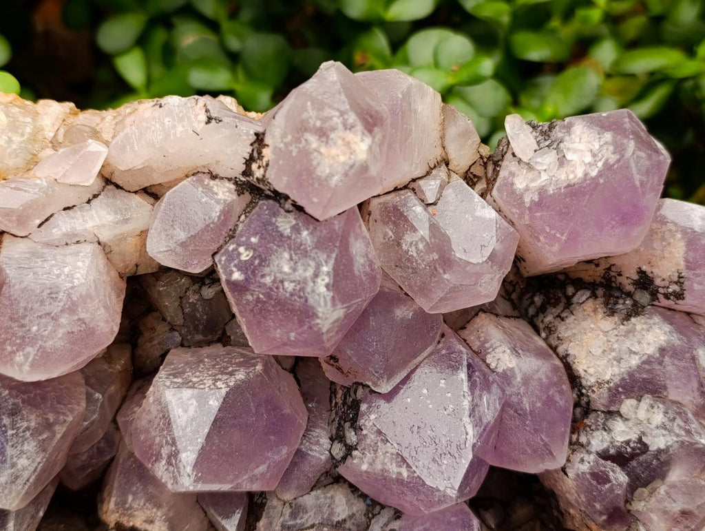 Natural Large Jacaranda Amethyst Crystal Cluster x 1 From Mumbwa, Zambia