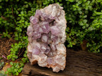 Natural Large Jacaranda Amethyst Crystal Cluster x 1 From Mumbwa, Zambia