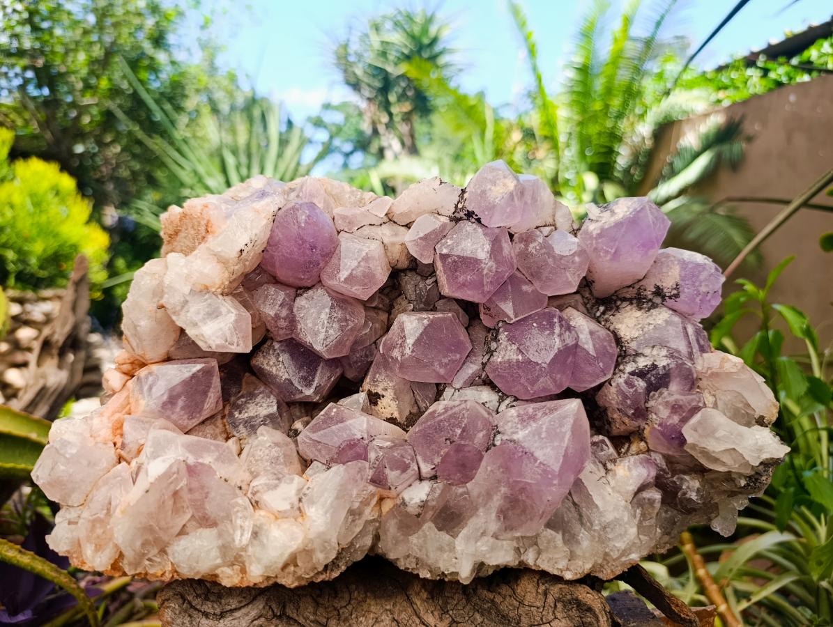 Natural Large Jacaranda Amethyst Crystal Cluster x 1 From Mumbwa, Zambia