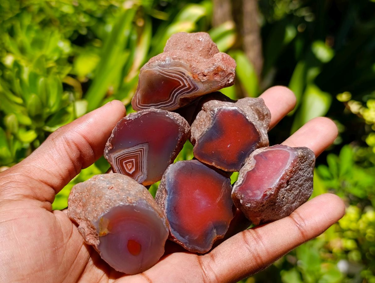 Polished One Side Red Shashe River Agate Nodules x 35 From Shashe River, Zimbabwe - Toprock Gemstones and Minerals 