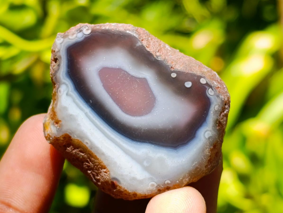 Polished One Side Red Shashe River Agate Nodules x 35 From Shashe River, Zimbabwe - Toprock Gemstones and Minerals 