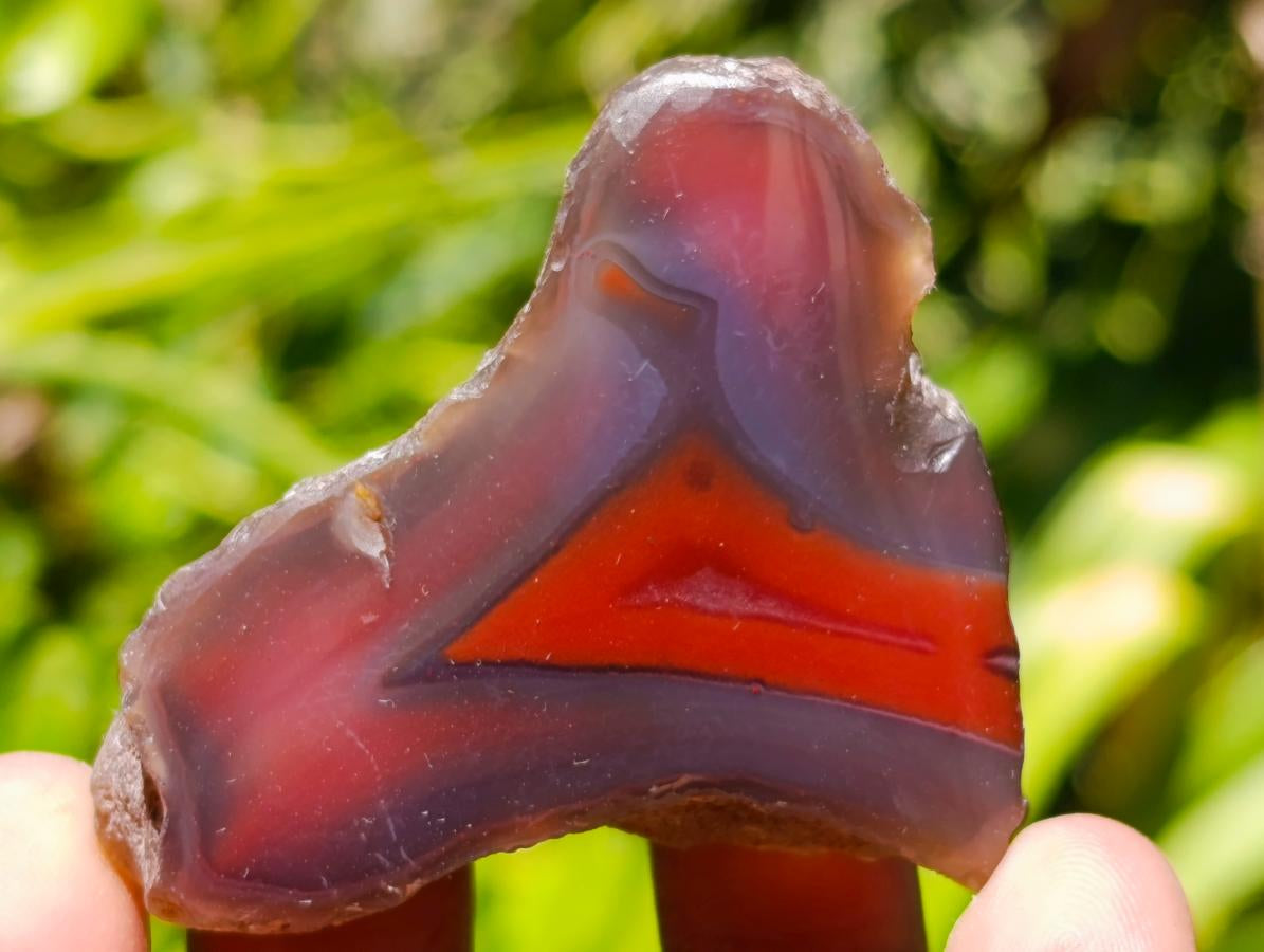 Polished One Side Red Shashe River Agate Nodules x 35 From Shashe River, Zimbabwe - Toprock Gemstones and Minerals 