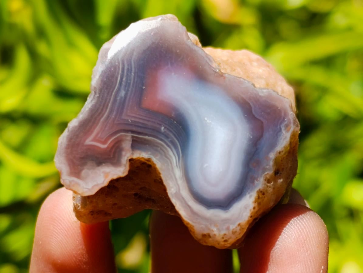 Polished One Side Red Shashe River Agate Nodules x 35 From Shashe River, Zimbabwe - Toprock Gemstones and Minerals 