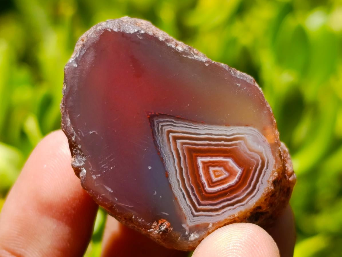 Polished One Side Red Shashe River Agate Nodules x 35 From Shashe River, Zimbabwe - Toprock Gemstones and Minerals 