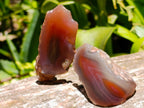 Polished One Side Red Shashe River Agate Nodules x 35 From Shashe River, Zimbabwe - Toprock Gemstones and Minerals 