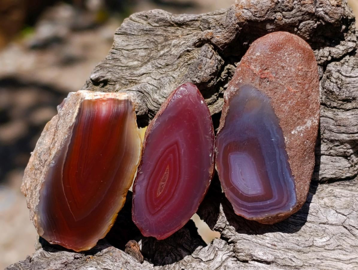 Polished One Side Red Shashe River Agate Nodules x 35 From Shashe River, Zimbabwe - Toprock Gemstones and Minerals 