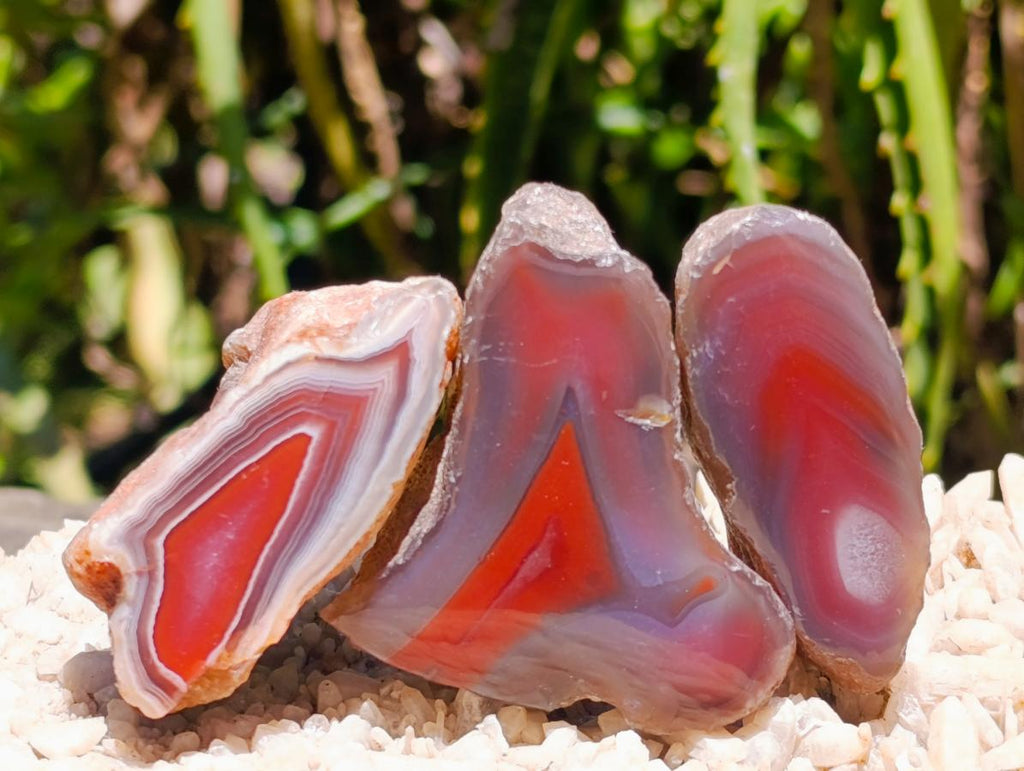 Polished One Side Red Shashe River Agate Nodules x 35 From Shashe River, Zimbabwe - Toprock Gemstones and Minerals 