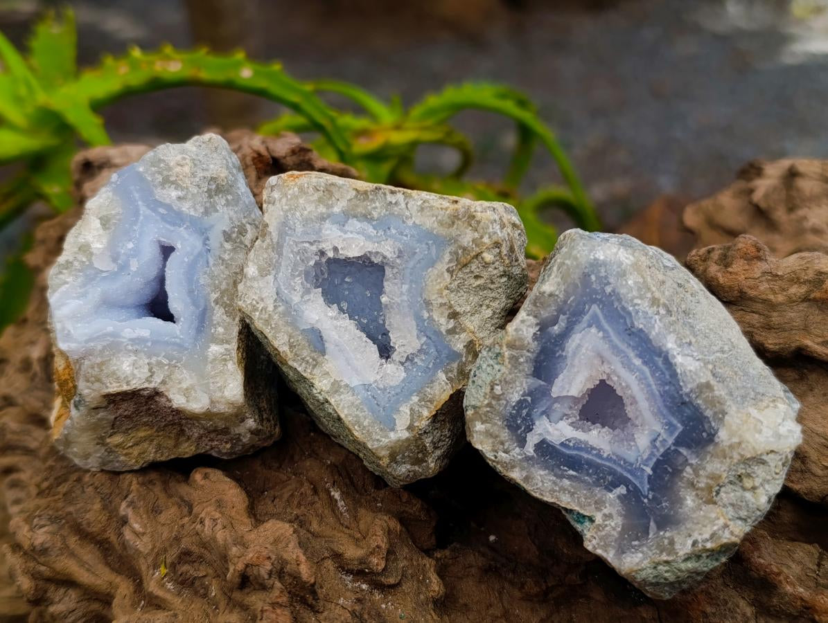 Natural Blue Lace Agate Geode Specimens x 24 From Nsanje, Malawi