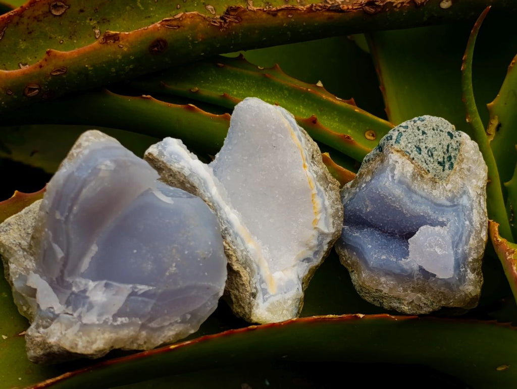 Natural Blue Lace Agate Geode Specimens x 24 From Nsanje, Malawi