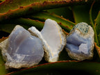 Natural Blue Lace Agate Geode Specimens x 24 From Nsanje, Malawi