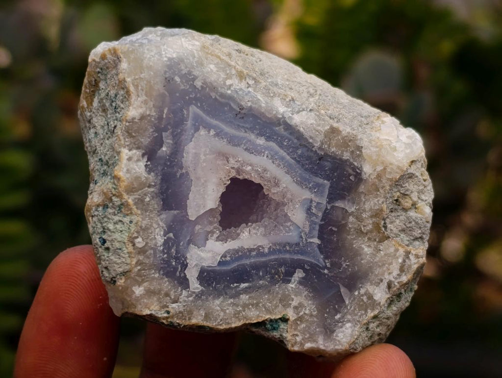 Natural Blue Lace Agate Geode Specimens x 24 From Nsanje, Malawi