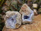 Natural Blue Lace Agate Geode Specimens x 24 From Nsanje, Malawi