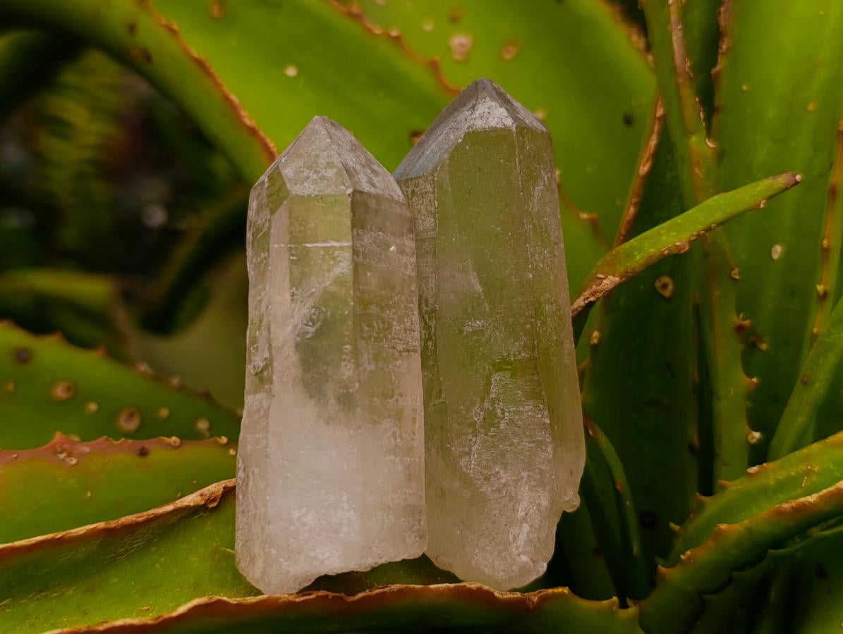 Natural Good Mine Run Quartz Crystals x 46 From Madagascar - Toprock Gemstones and Minerals 