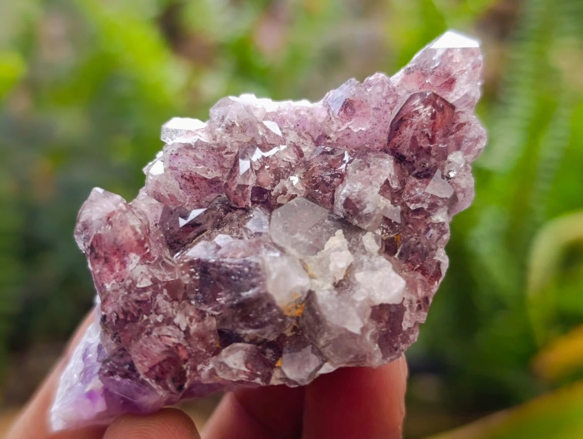 Natural Rare Amethyst Asylum Quartz Clusters x 12 From Luena, Congo
