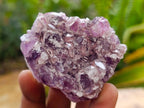 Natural Rare Amethyst Asylum Quartz Clusters x 12 From Luena, Congo