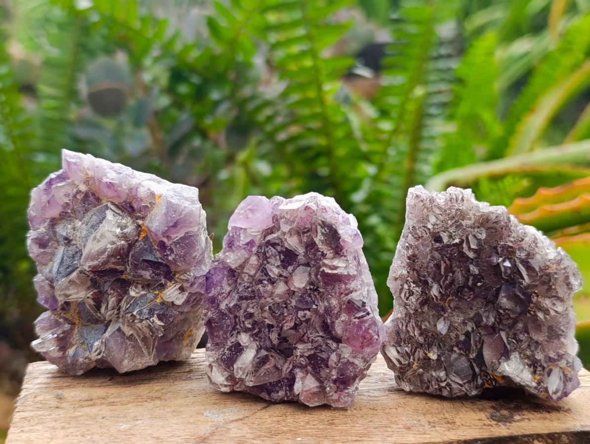 Natural Rare Amethyst Asylum Quartz Clusters x 12 From Luena, Congo