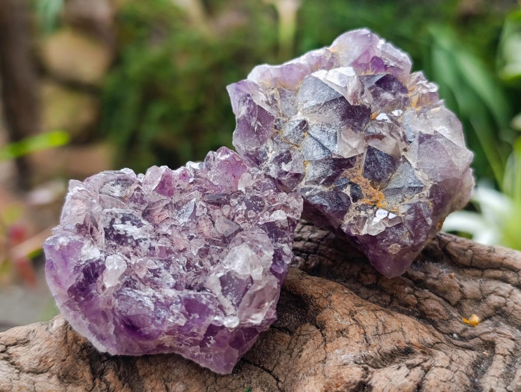 Natural Rare Amethyst Asylum Quartz Clusters x 12 From Luena, Congo