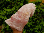 Natural Cobbed Rose Quartz Specimens x 4 From Northern Cape, South Africa - Toprock Gemstones and Minerals 