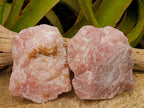 Natural Cobbed Rose Quartz Specimens x 4 From Northern Cape, South Africa - Toprock Gemstones and Minerals 