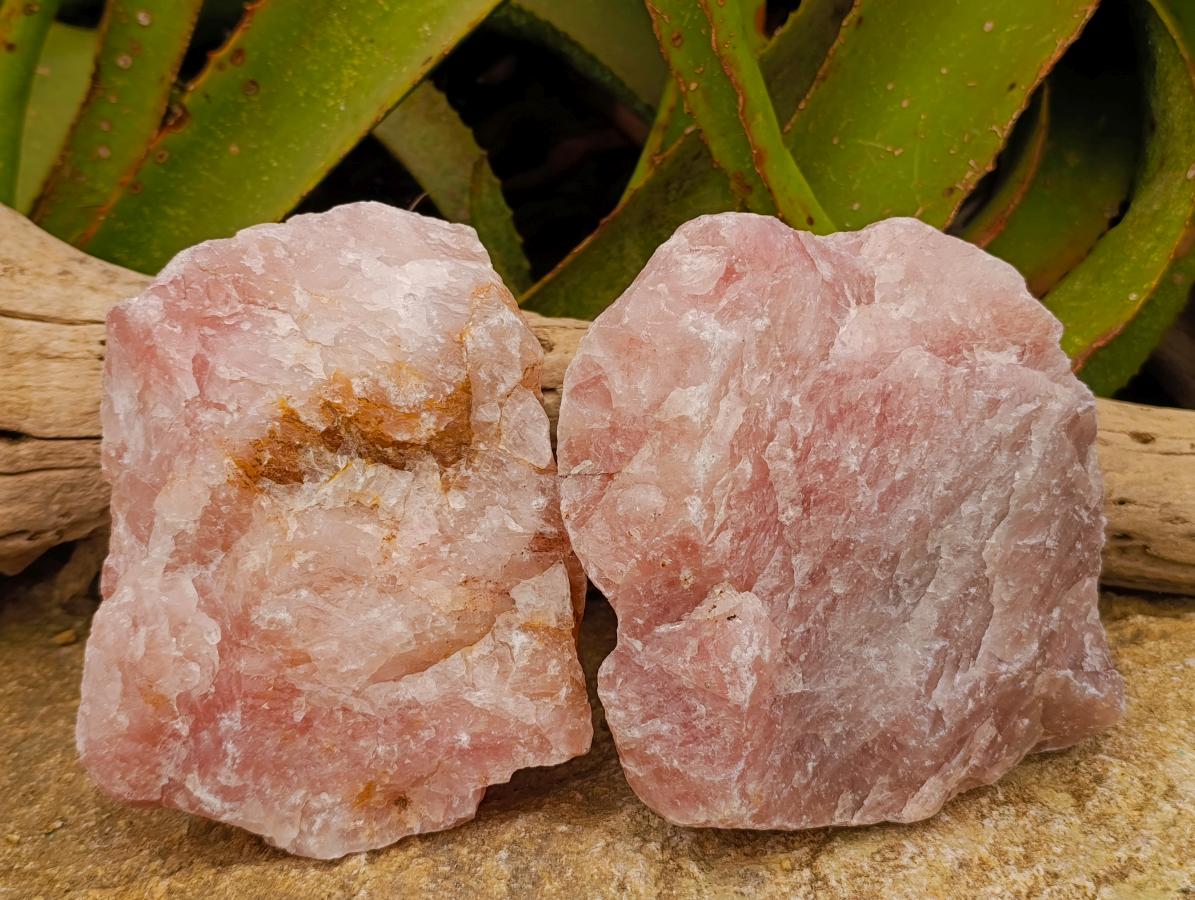 Natural Cobbed Rose Quartz Specimens x 4 From Northern Cape, South Africa - Toprock Gemstones and Minerals 