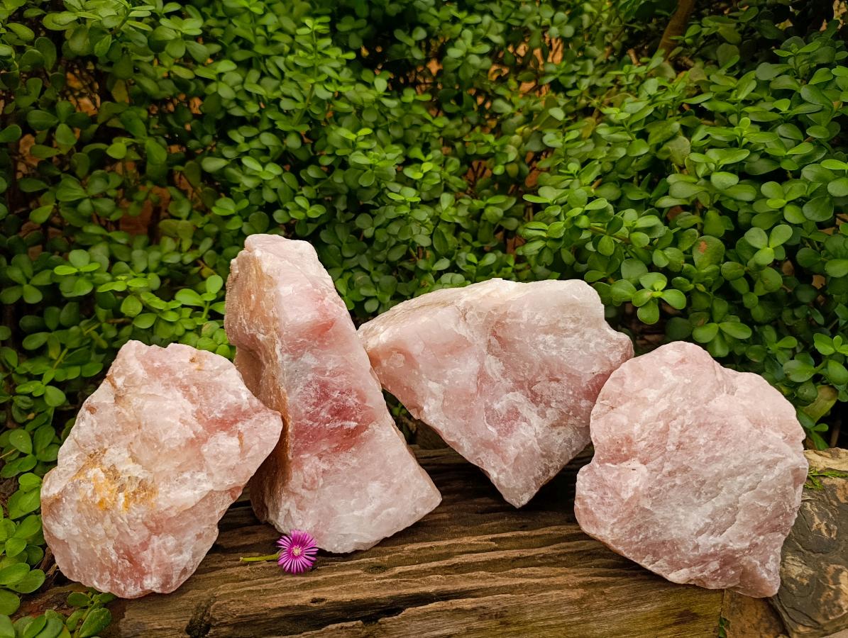 Natural Cobbed Rose Quartz Specimens x 4 From Northern Cape, South Africa - Toprock Gemstones and Minerals 