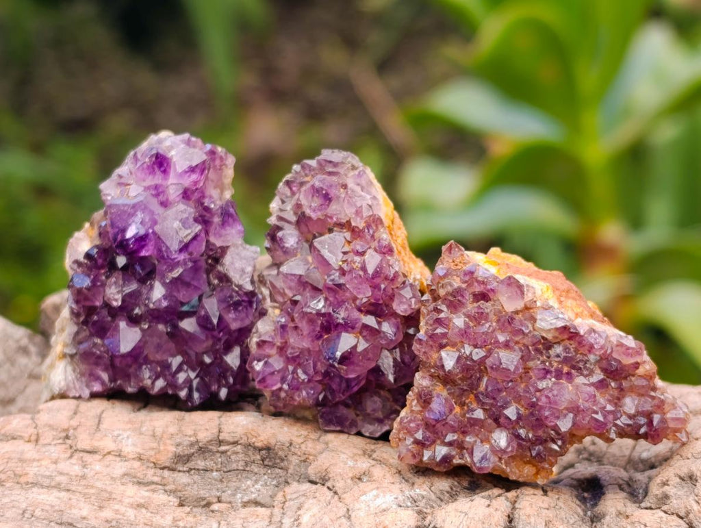 Natural Dark Purple Amethyst Quartz Crystal Plates x 72 From Boekenhouthoek, South Africa - Toprock Gemstones and Minerals 