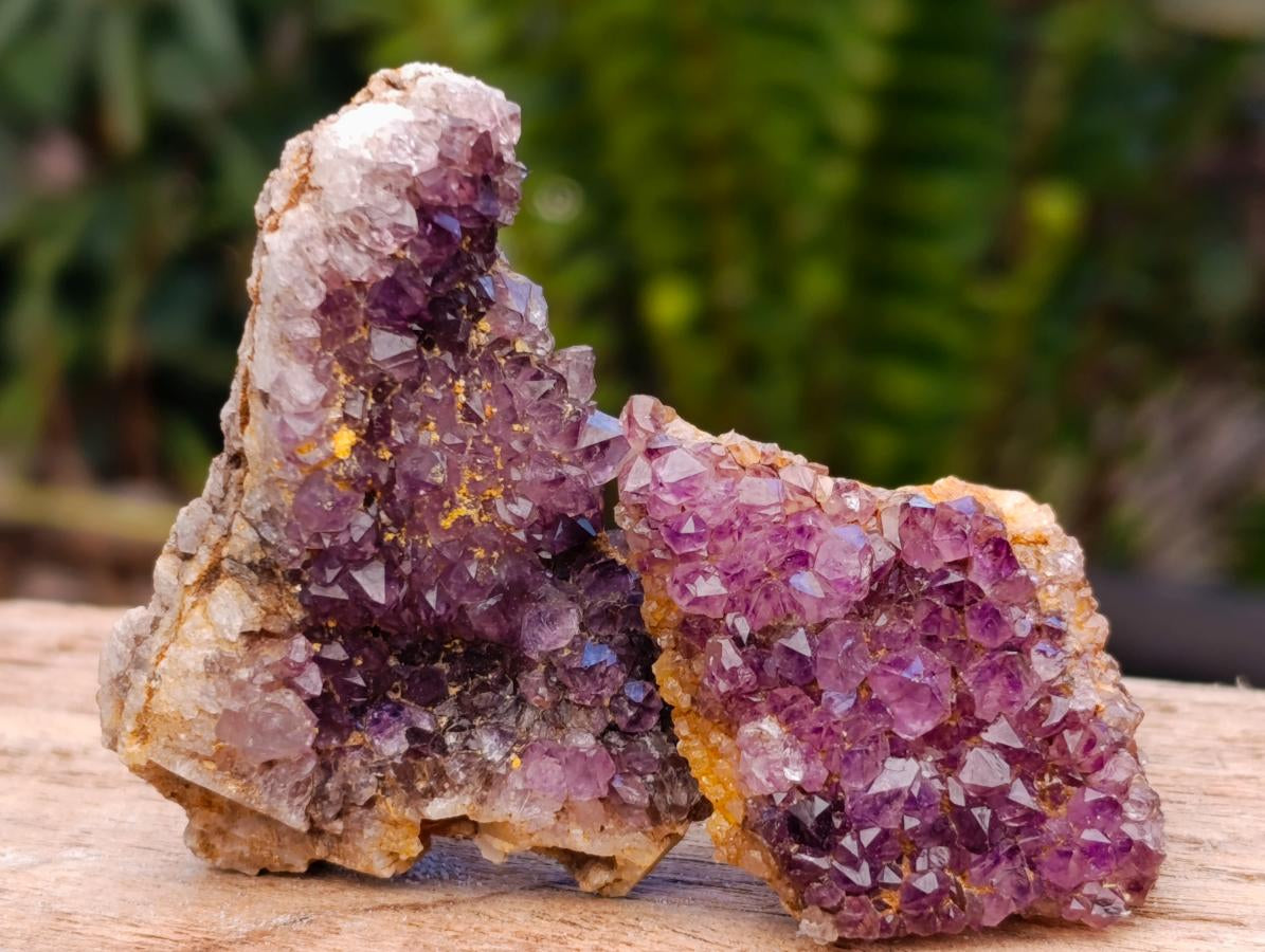 Natural Dark Purple Amethyst Quartz Crystal Plates x 72 From Boekenhouthoek, South Africa - Toprock Gemstones and Minerals 