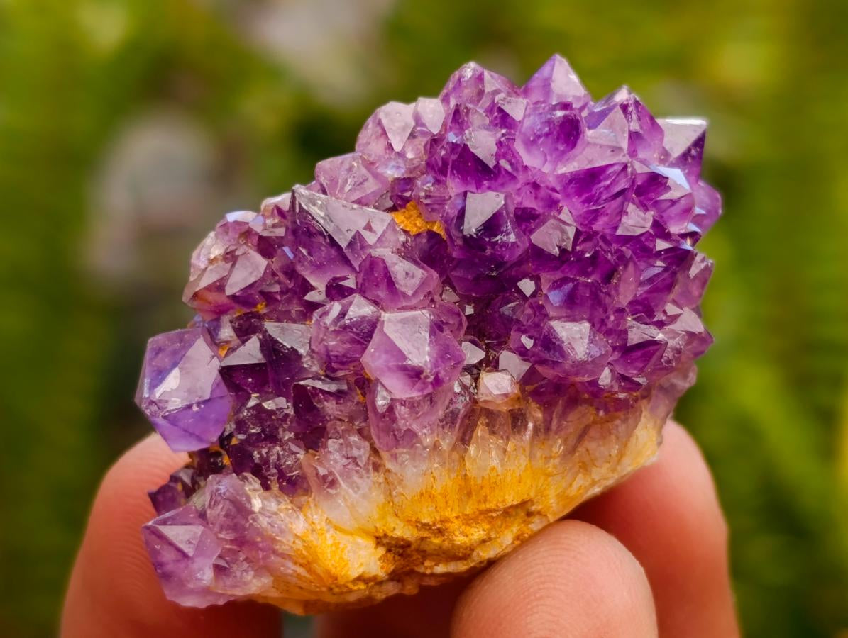 Natural Dark Purple Amethyst Quartz Crystal Plates x 72 From Boekenhouthoek, South Africa - Toprock Gemstones and Minerals 