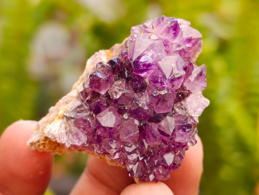 Natural Dark Purple Amethyst Quartz Crystal Plates x 72 From Boekenhouthoek, South Africa - Toprock Gemstones and Minerals 