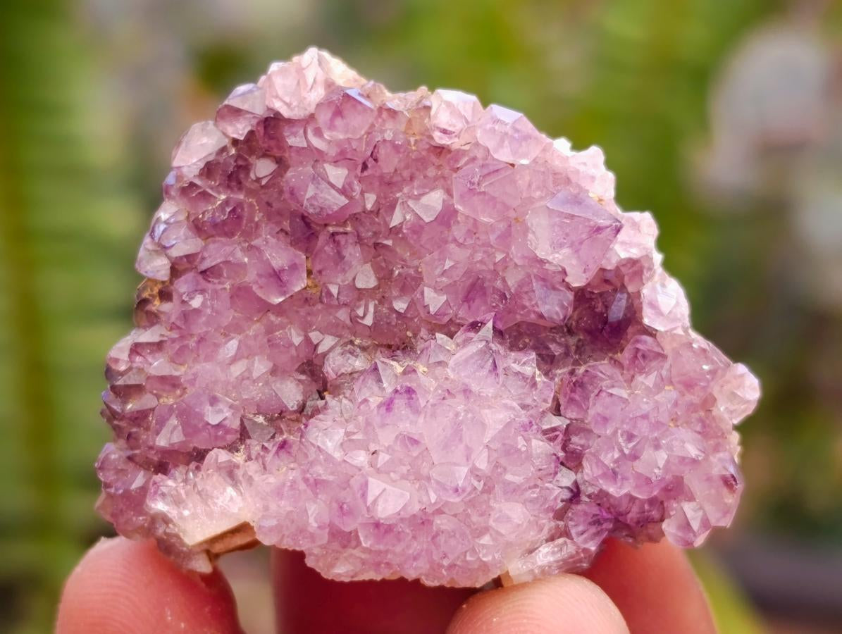 Natural Dark Purple Amethyst Quartz Crystal Plates x 72 From Boekenhouthoek, South Africa - Toprock Gemstones and Minerals 