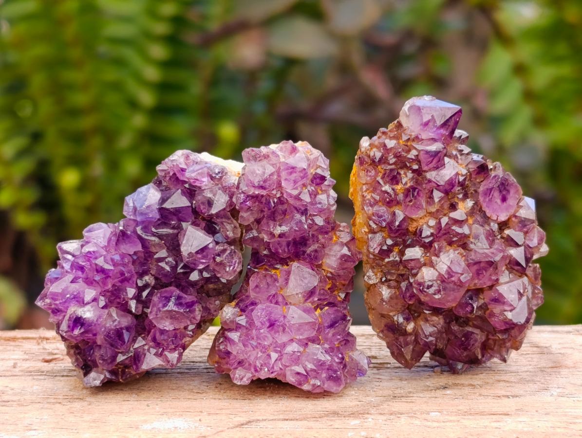 Natural Dark Purple Amethyst Quartz Crystal Plates x 72 From Boekenhouthoek, South Africa - Toprock Gemstones and Minerals 