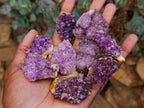 Natural Dark Purple Amethyst Quartz Crystal Plates x 72 From Boekenhouthoek, South Africa - Toprock Gemstones and Minerals 